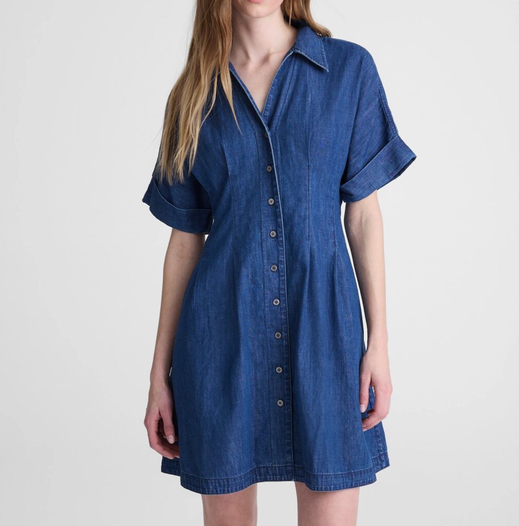 The Denim Perry Shirtdress