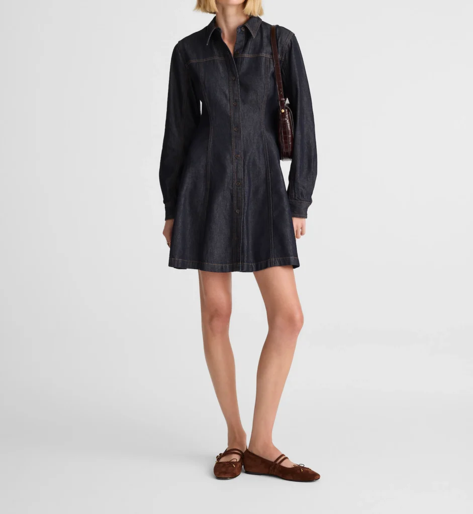Airy Denim Seamed Shirtdress
