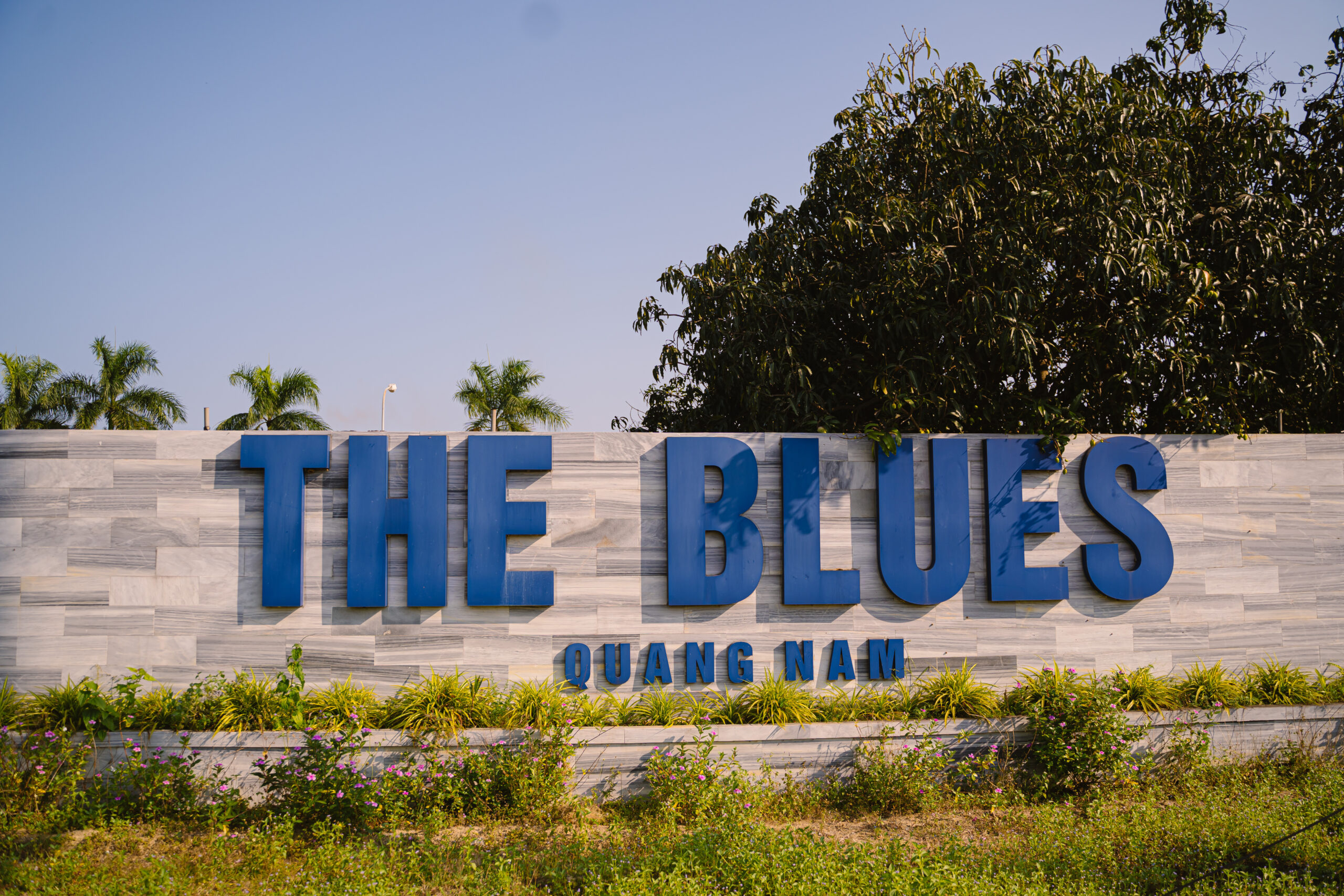 The Blues Founder