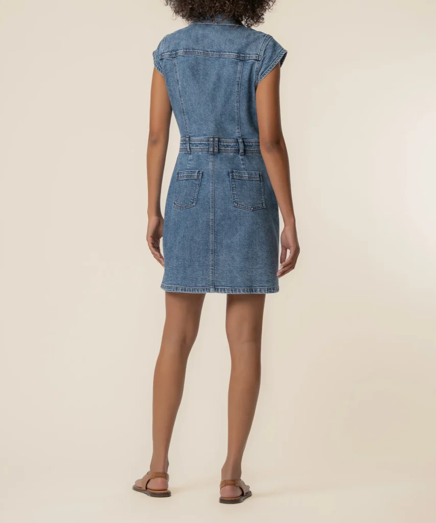 Ruth Denim Dress in Smiling Wash - hover